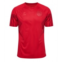 Camisa de Futebol Dinamarca Equipamento Principal Mundo 2022 Manga Curta